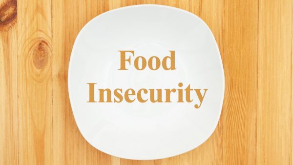 Food insecurity research